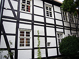 Hsemann